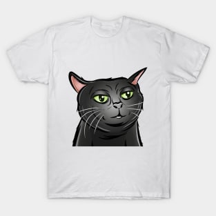 Tiktok Black Cat | Viral Cat | Black Cat Zoning Out | Cat Meme T-Shirt